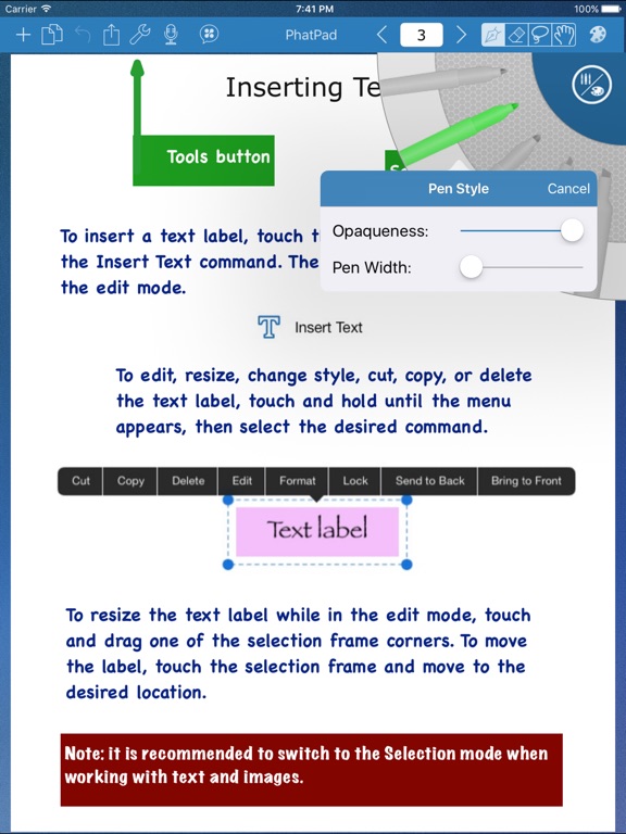 iPad Screenshot 5