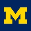 MichiganVR