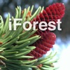 iForest - Bäume und Sträucher