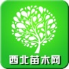 西北苗木网