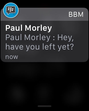 iPhone Screenshot 5