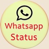 All Whatsapp Status whatsapp status 