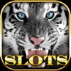 Slots Tiger Jungle King Slots Craze Free slot games online 