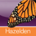 Language of Letting Go: Codependency Meditations