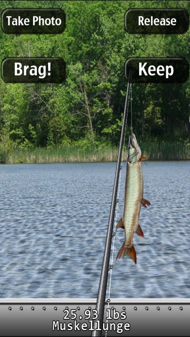 iPhone Screenshot 2
