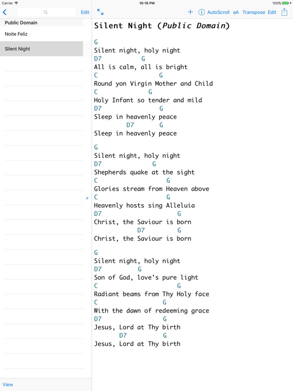 iPad Screenshot 1