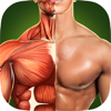 人体解剖3D筋トレ PRO