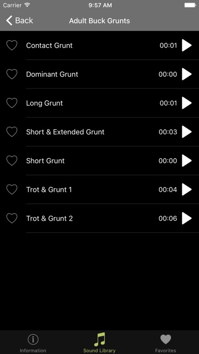 iPhone Screenshot 3