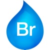 Bronson Watermarker PDF action bronson 