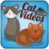Cat.Videos stampy cat videos 