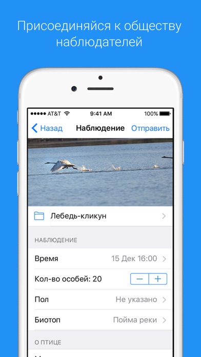 iPhone Screenshot 4