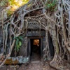 Cambodian Temple Treasure Escape cambodian food 