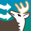 no app image