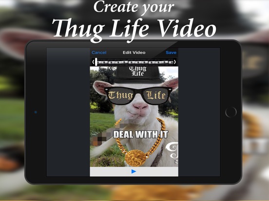 暴徒生活视频编辑器:在 App Store 上的内容