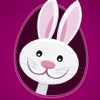 Bunny Rush Matching Game stock vector 