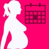 Pregnancy Due Date Widget pregnancy due date 