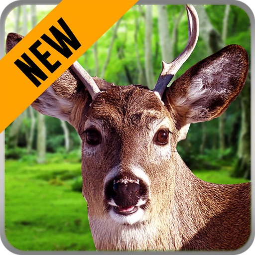 Hunting Animals 3D for ios instal