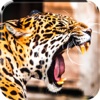 2016 Leopard Survival Attack Pro - African Beast Hunting Wild Attack Simulation mumbai attack 