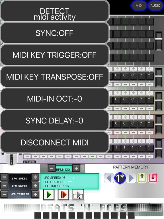 iPad Screenshot 3