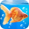 Goldfish Aquarium 3D
