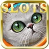 Pets Heroes Bonus-Casino Slot Machine Bonus Game bonus