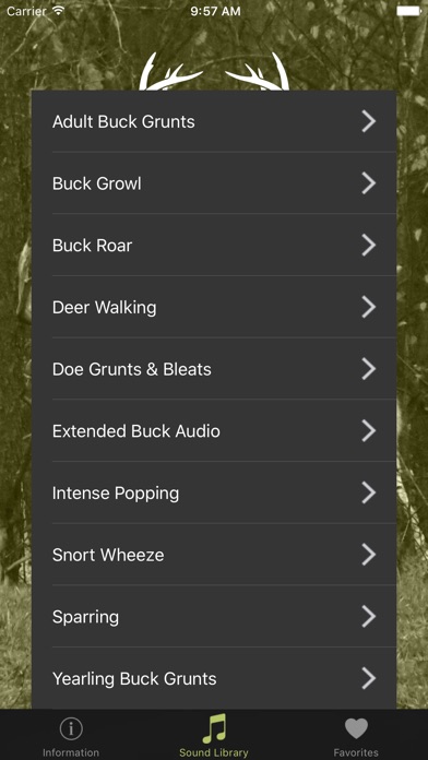 iPhone Screenshot 2