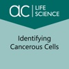 Identifying Cancerous Cells identifying emotions chart 