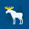 Berlitz Svenska berlitz language