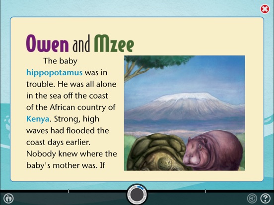 iPad Screenshot 5