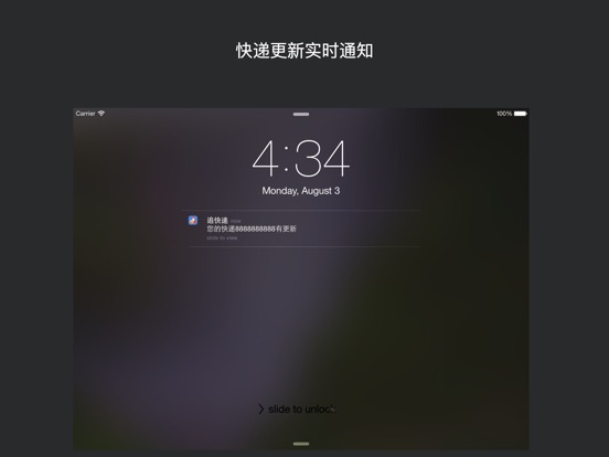 iPad 屏幕截图 1