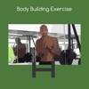 Body building exercise bodybuilding workouts 