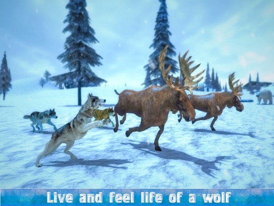 Игра арктический волк симулятор 3D - дикий запуск игры
