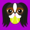 Tri Color Japanese Chin Stickers for iMessage japanese chin 