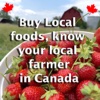 Find Local Foods like a local 
