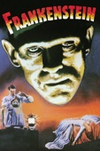 Frankenstein (1931) cover