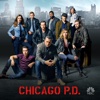 Chicago PD - Forget My Name  artwork