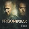 Prison Break - The Liar  artwork