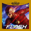 The Flash - Enter Flashtime artwork