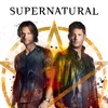 Supernatural - Lost and Found  artwork