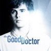 The Good Doctor - Islands Part Two  artwork