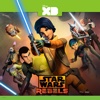 Star Wars Rebels - Always Two There Are  artwork