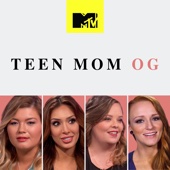 Teen Mom - Teen Mom, Vol. 15  artwork