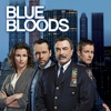 Blue Bloods - Flags of Our Fathers  artwork