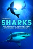 Poster för Sharks: Visit the Depths of the Ocean & Swim with Sharks & Other Aquatic Life