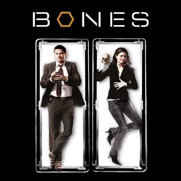 Bones Season 5 Episode 19 Free Online