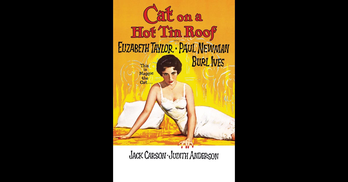 cat on a hot tin roof critical essay cat on a hot tin roof critical essay
