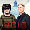 NCIS - Rogue  artwork