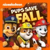 PAW Patrol - Pups Make a Splash / Pups Fall Festival  artwork